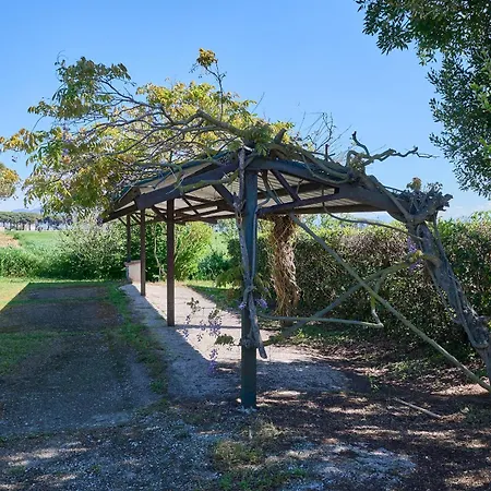Mare Etrusco D2 * Populonia